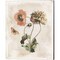 Antiquarian Blooms by Katie Pertiet 12" x 15" Canvas Wall Art (Set of 2)